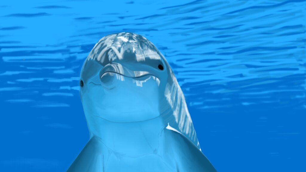 Russian Military dolphins protect Crimea