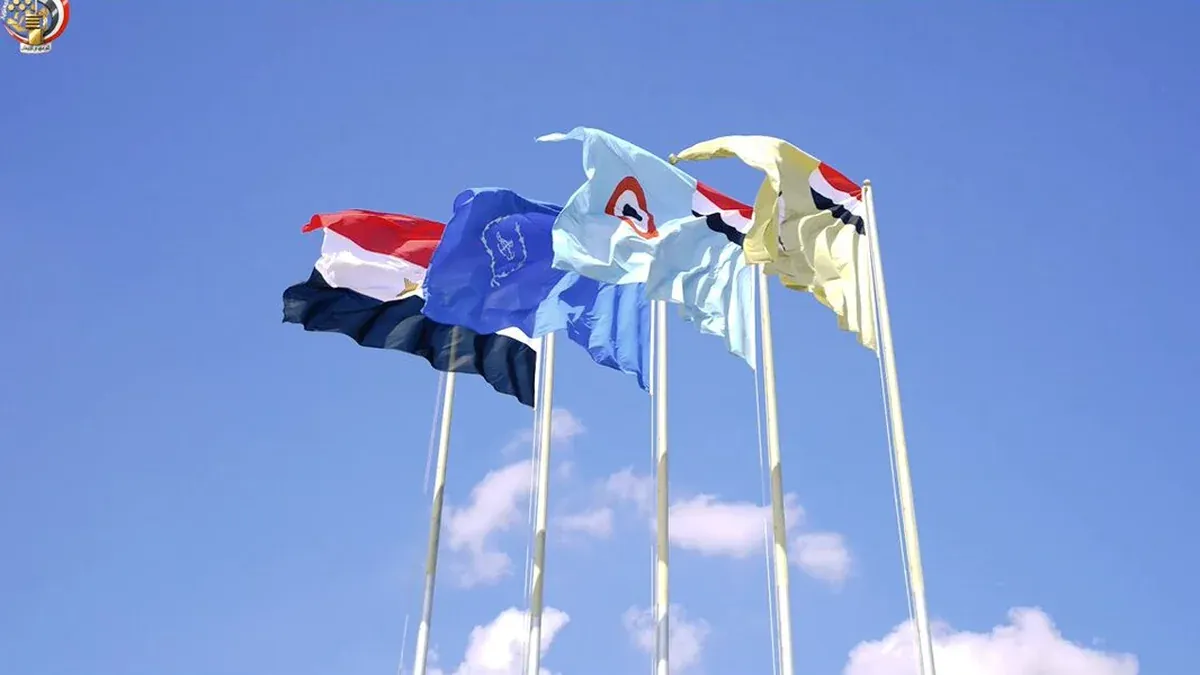 Flags of Egypt and the Egyptian Armed Forces