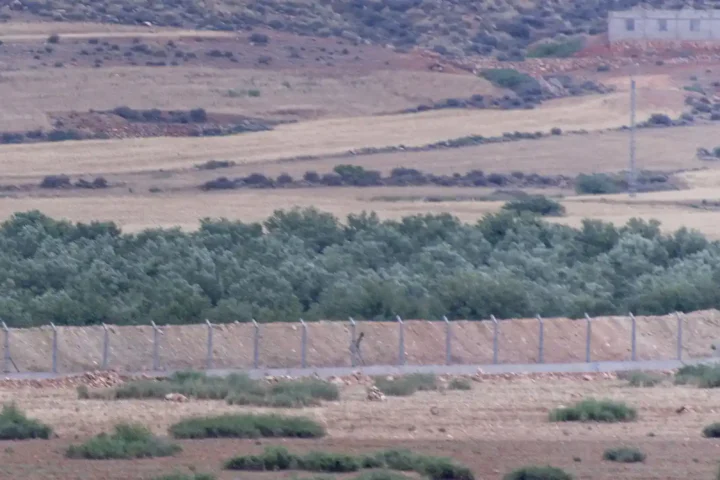 Wire fencing and an earth embankment crossing a dry plain with olive trees on the Moroccan-Algerian border