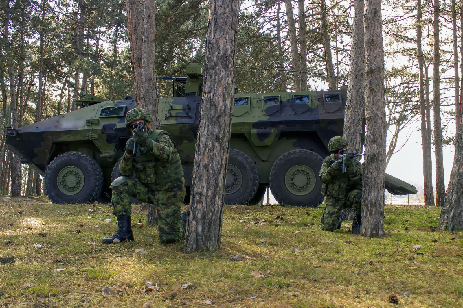 Infantry dismounting from the ramp of the Serbian Lazar 3 8x8 armoured vehicle